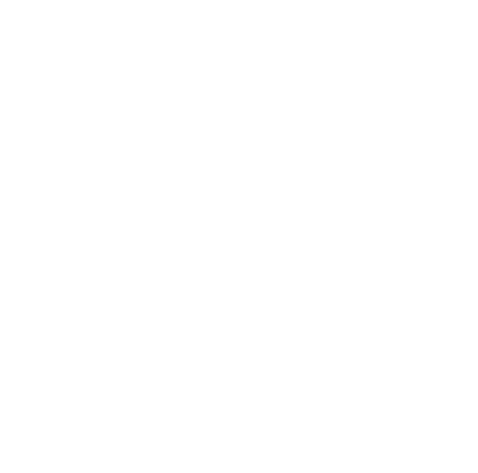 spothopper white icon