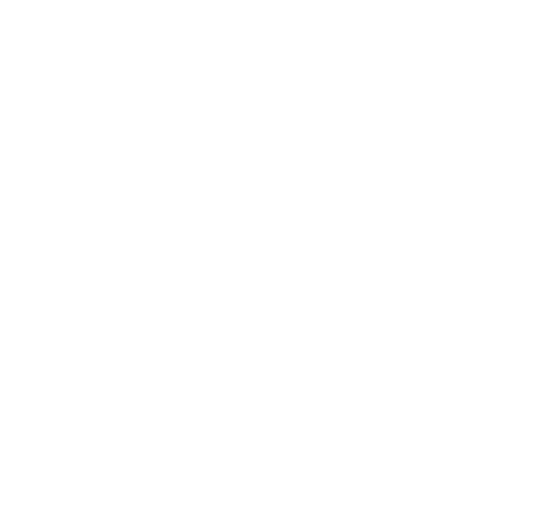 twitter white icon